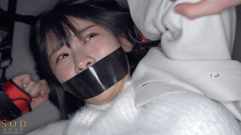 炎上しまくってる態度ワルすぎ悪質ギャラ飲み女をさらって金とチ〇ポで尊厳破壊キメセク乱交 宮島めいのサムネイル画像
