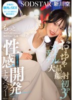 おもちゃ・大量顔射・初3P・オイルエステ もっと気持ち良くなるために初めての一人旅 3泊4日の性感開発トラベラー 新川空 あらかわそらのサムネイル画像