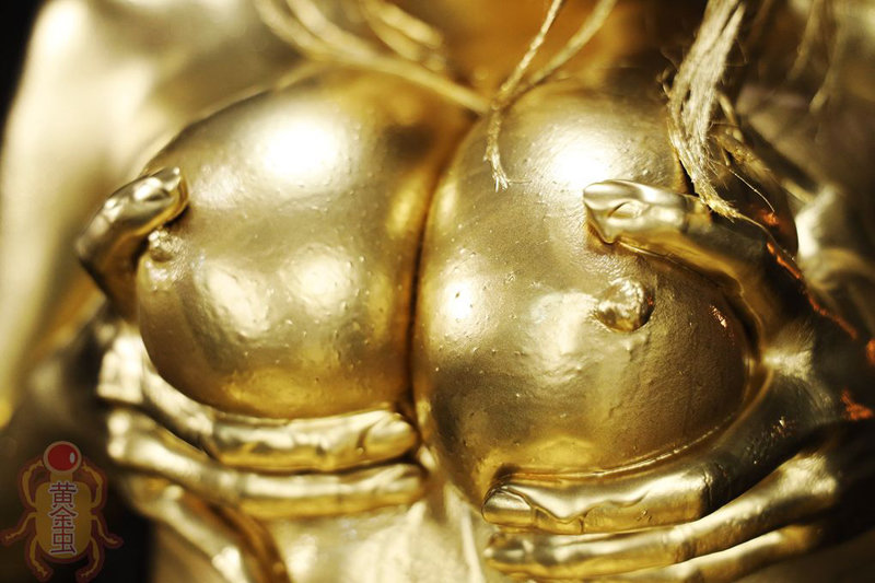 金粉銀粉銅粉BEST 12人【逸材集結！】のサムネイル画像