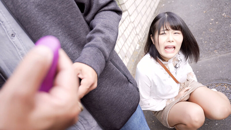 野外露出セックス1169分ベストBOX～街中で、屋外で、ヘリコプターで、イカされまくった女達…のサムネイル画像