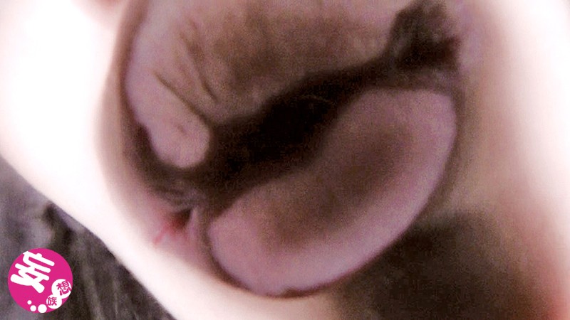 ヴァーチャルべろチュウ Lesbian Kissのサムネイル画像