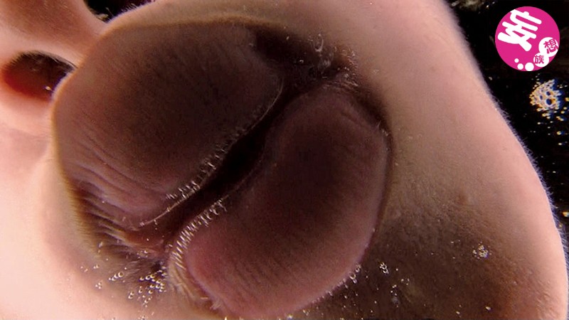 ダブルバーチャルレズベロキスのサムネイル画像