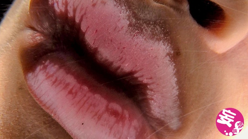 バーチャルべろチュウ 4のサムネイル画像