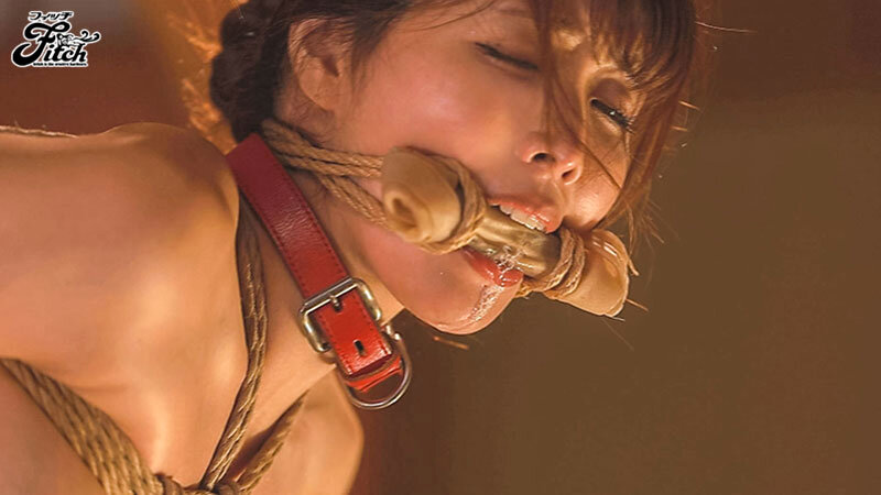 高飛車女社長を麻縄緊縛で屈辱の女犬調教 老獪なSM調教で巨乳女が動物に成り下がるまで… 新村あかりのサムネイル画像