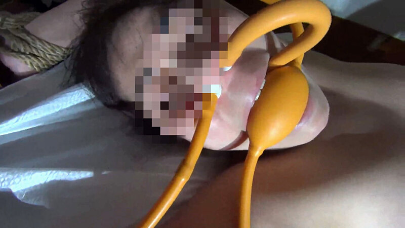 某大学教授の秘匿SM映像のサムネイル画像