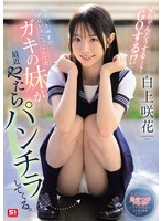 ちょっと前までプロレスごっこしてたガキの妹が最近やたらパンチラしてくる。兄ちゃんどうする…？ GOする！？ 白上咲花のサムネイル画像