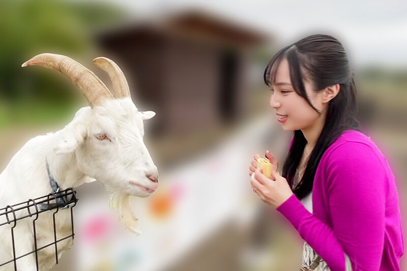 いつでもどこでも人妻オナホ したがり温泉旅行 藤原真帆のサムネイル画像